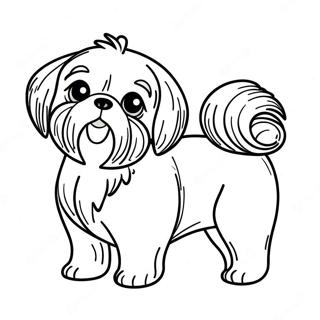 Halaman Mewarnai Shih Tzu 112700-48780