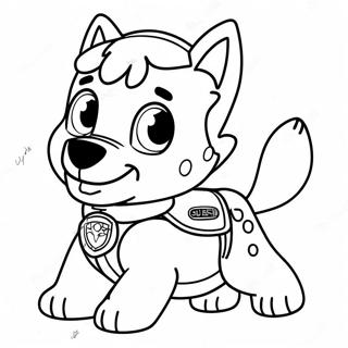 Halaman Mewarnai Paw Patrol Rocky 116387-51758