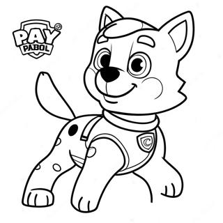 Halaman Mewarnai Paw Patrol Rocky 116387-51921