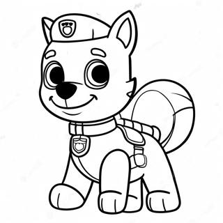 Halaman Mewarnai Misi Penyelamatan Paw Patrol Rocky 116391-51940