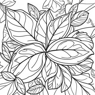 Halaman Mewarnai Daun Basil Yang Detail 134495 66554