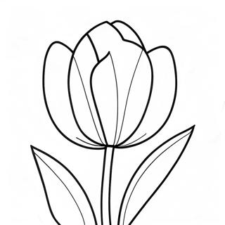 Tulip Halaman Mewarnai