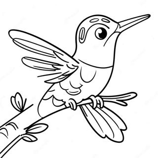 Gambar Mewarnai Burung Kolibri Anggun Bertengger Di Dahan 36515-7982