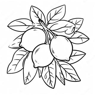 Halaman Mewarnai Pohon Lemon Dengan Buah 42086 9202