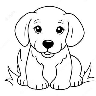 Halaman Mewarnai Anak Anjing Golden Retriever Yang Lucu 67433 14753