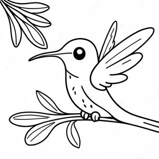 Halaman Mewarnai Kolibri Menyusui 80237 22232