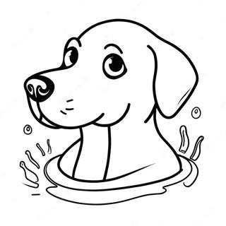 Halaman Mewarnai Labrador Berenang Di Air 81985-23590