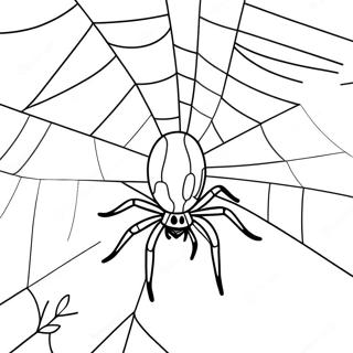 Halaman Mewarnai Laba Laba Halloween Menyeramkan Di Jaring 82164 23753