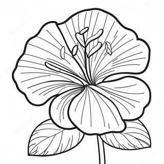 Halaman Mewarnai Mekar Hibiscus Besar 83395-24714