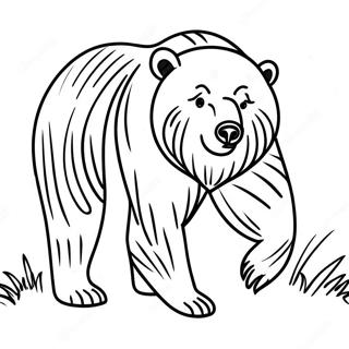 Halaman Mewarnai Beruang Hitam Yang Garang 83576 24863