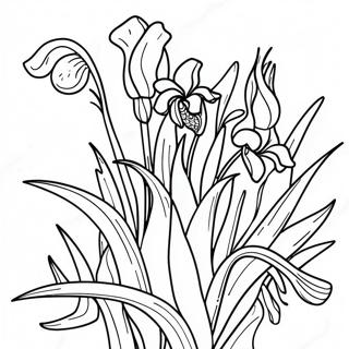 Halaman Mewarnai Iris Van Gogh 90841-30767