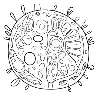 Halaman Mewarnai Diagram Sel Tanaman 92194-31882