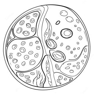 Halaman Mewarnai Diagram Sel Tanaman 92194-31884